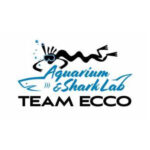 Team ECCO / Aquarium & Shark Lab by Team ECCO
