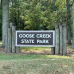 Goose-Creek_image