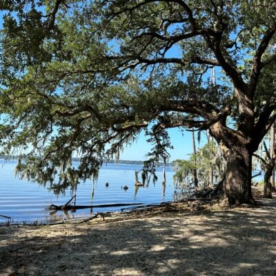 Goose Creek State Park › North Carolina Science Trail