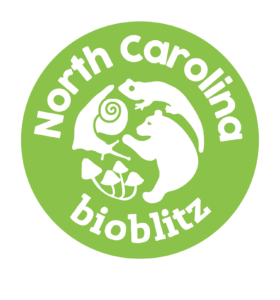 bioblitz